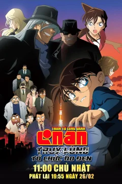 Xem phim Thám Tử Lừng Danh Conan: Truy Lùng Tổ Chức Áo Đen - RoPhim
