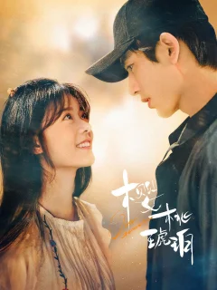 Xem phim Anh Đào Hổ Phách - RoPhim