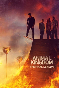 Xem phim Animal Kingdom - RoPhim