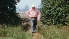 Disneyland: Tinh Hoa Thủ Công