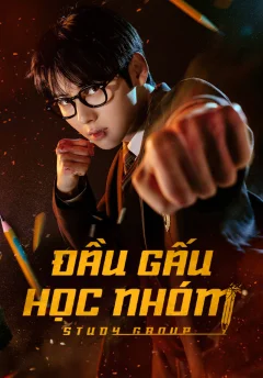 Xem phim Đầu Gấu Học Nhóm - RoPhim