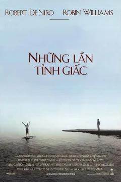 Xem phim Những Lần Tỉnh Giấc - RoPhim