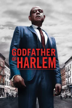 Xem phim Godfather of Harlem - RoPhim