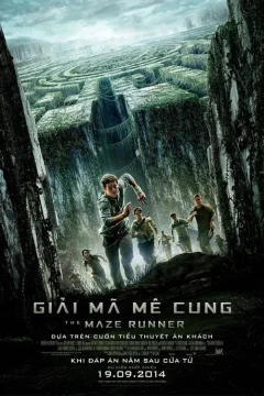 Xem phim Giải Mã Mê Cung - RoPhim